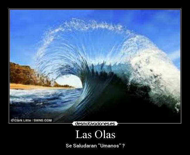 Las Olas - 
