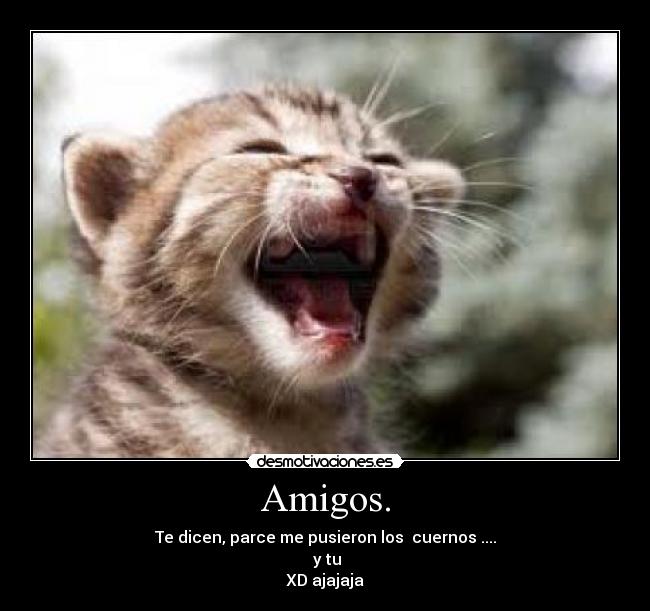 Amigos. - 