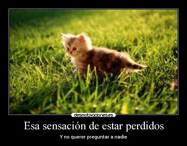 Esa sensación de estar perdidos -