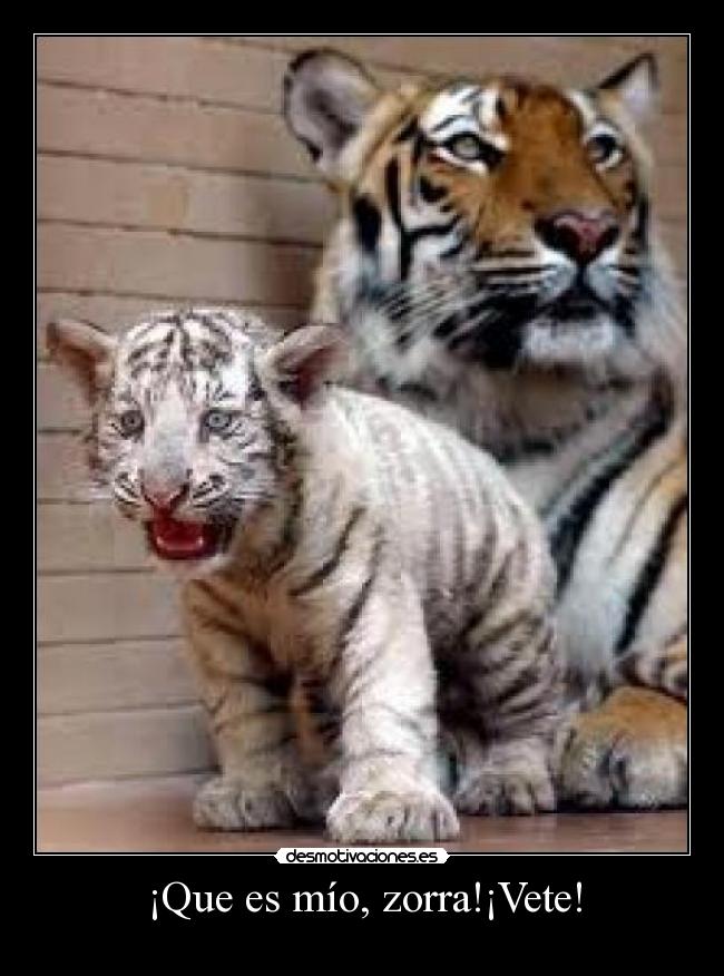 ¡Que es mío, zorra!¡Vete! - 