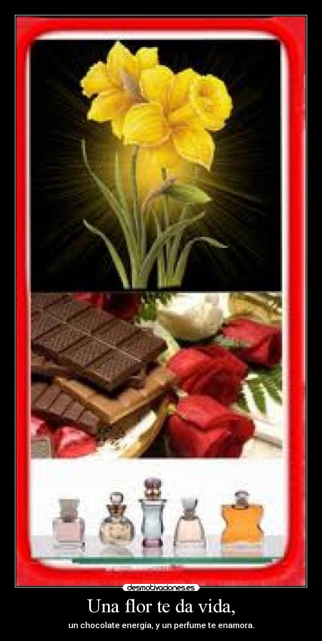 carteles vida lovepocholate desmotivaciones