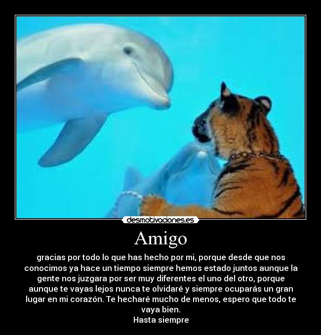 Amigo - gracias por todo lo que has hecho por mi, porque desde que nos
conocimos ya hace un tiempo siempre hemos estado juntos aunque la
gente nos juzgara por ser muy diferentes el uno del otro, porque
aunque te vayas lejos nunca te olvidaré y siempre ocuparás un gran
lugar en mi corazón. Te hecharé mucho de menos, espero que todo te
vaya bien.
Hasta siempre