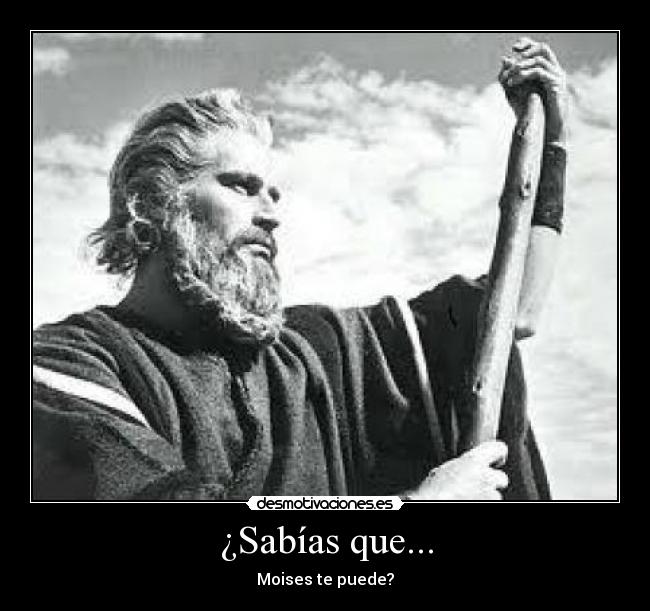 ¿Sabías que... - Moises te puede?