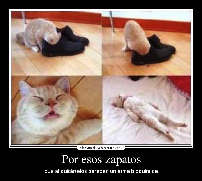 Por esos zapatos - que al quitártelos parecen un arma bioquímica