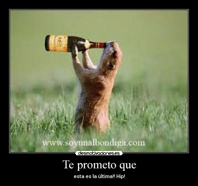 Te prometo que - esta es la última!! Hip!