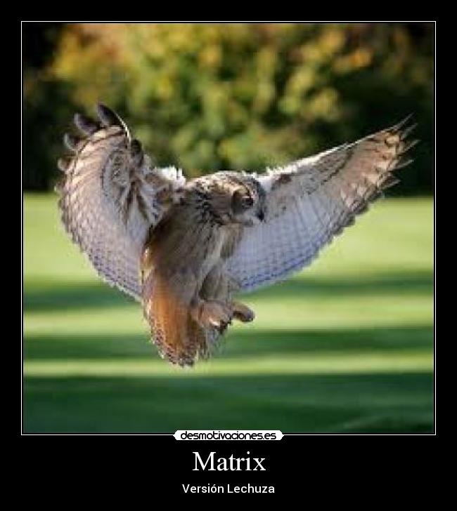 Matrix - Versión Lechuza