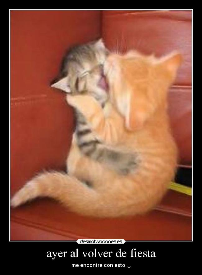 ayer al volver de fiesta - me encontre con esto ._.