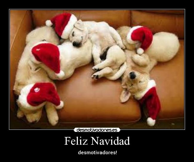 Feliz Navidad - 