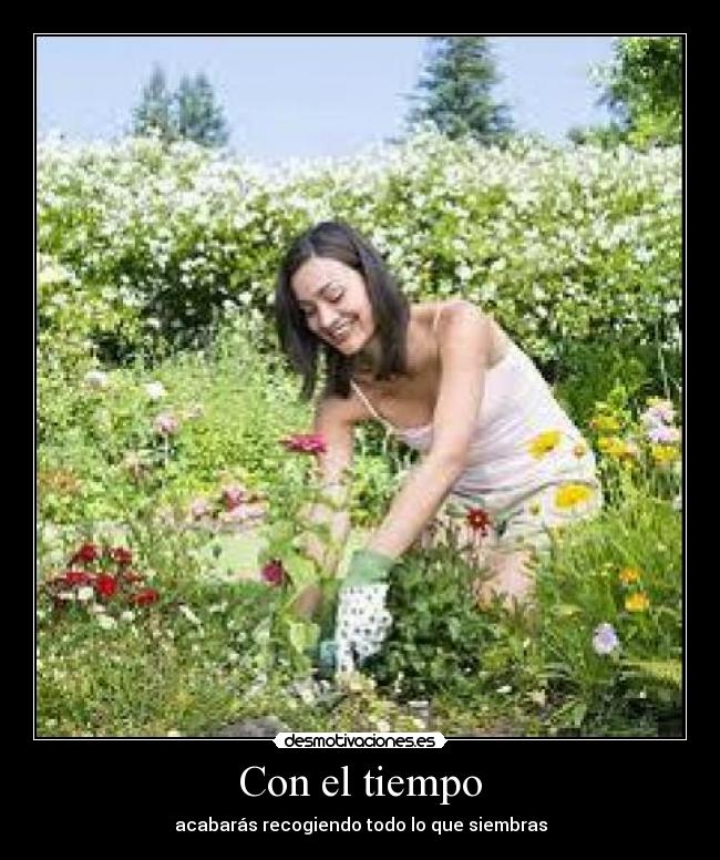 Con el tiempo - acabarás recogiendo todo lo que siembras