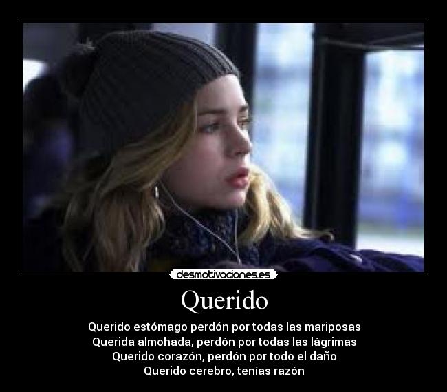Querido - 