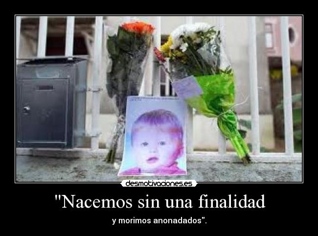 carteles estaba gordita nina eeh desmotivaciones