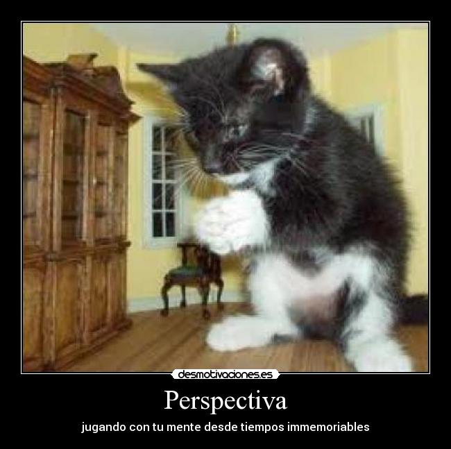 Perspectiva - jugando con tu mente desde tiempos immemoriables