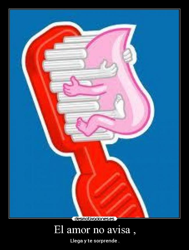 El amor no avisa , - Llega y te sorprende .