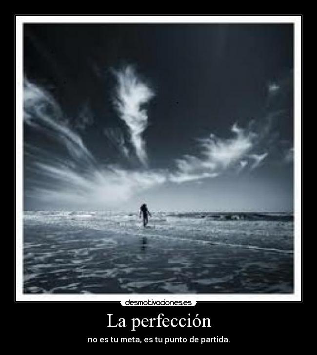 carteles perfeccion desmotivaciones