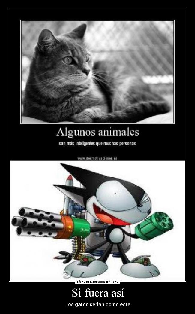 Si fuera así - Los gatos serian como este