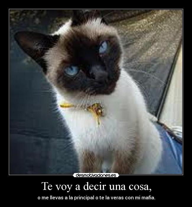 carteles xddddddddddddddddddddddddddddddddddd bybeeeeeeeeeeeeeeeeeeeeee desmotivaciones