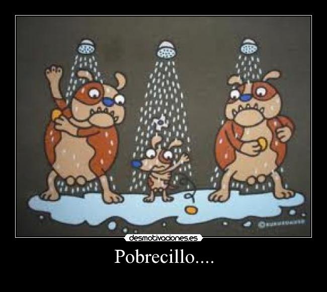 Pobrecillo.... - 