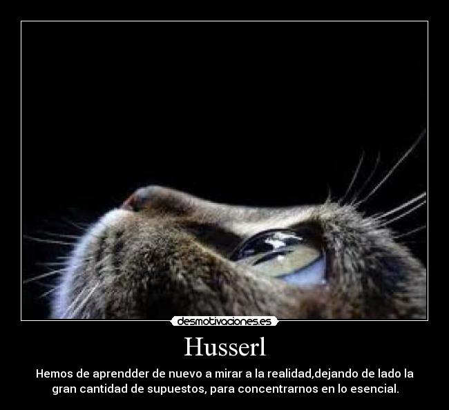 Husserl - Hemos de aprendder de nuevo a mirar a la realidad,dejando de lado la
gran cantidad de supuestos, para concentrarnos en lo esencial.