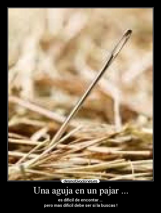 Una aguja en un pajar ... -