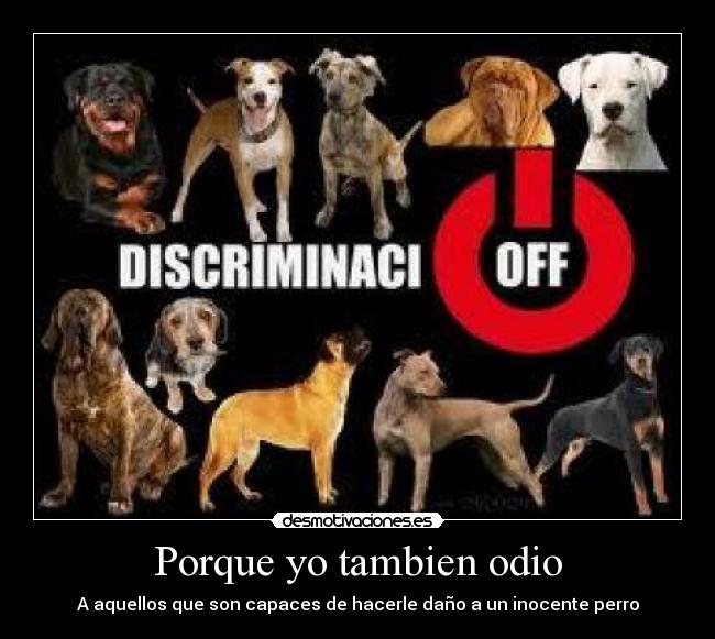 Porque yo tambien odio - A aquellos que son capaces de hacerle daño a un inocente perro