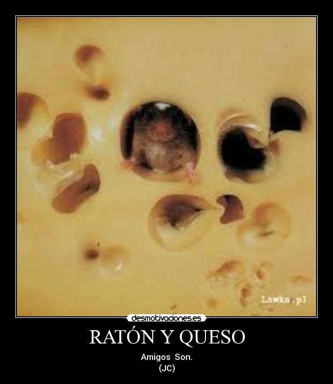 RATÓN Y QUESO - Amigos  Son.
(JC)