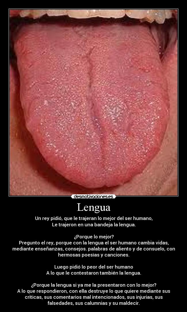 Lengua -