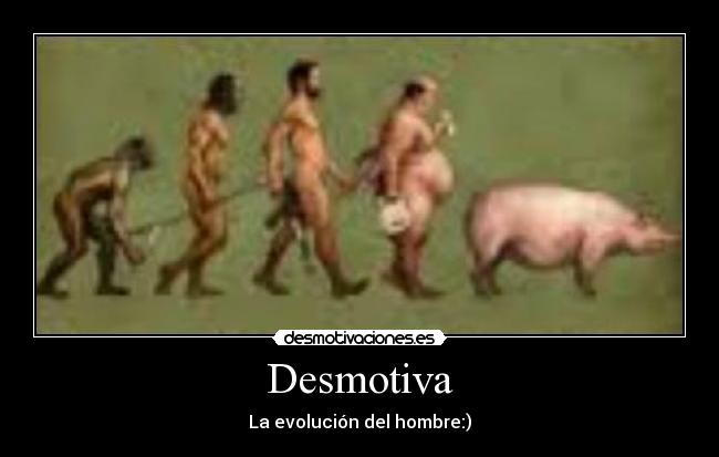 carteles zezee desmotivaciones