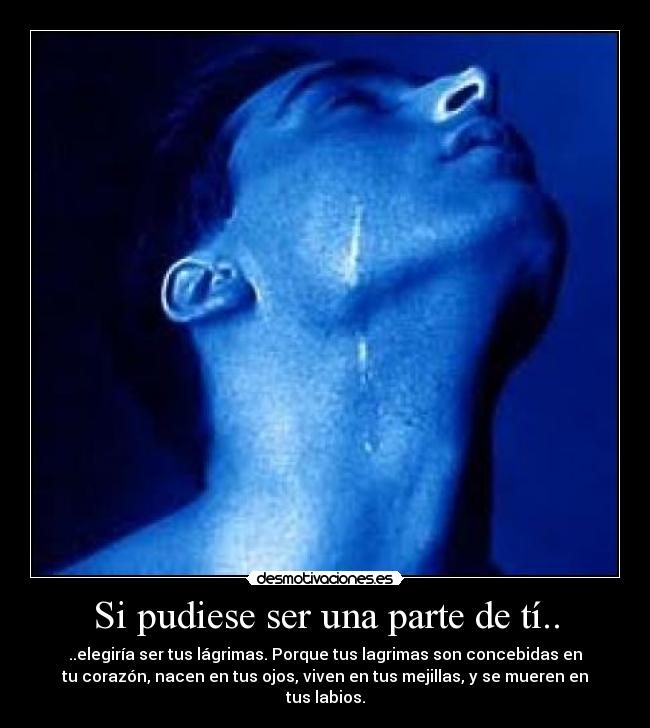 carteles tus lagrimas desmotivaciones