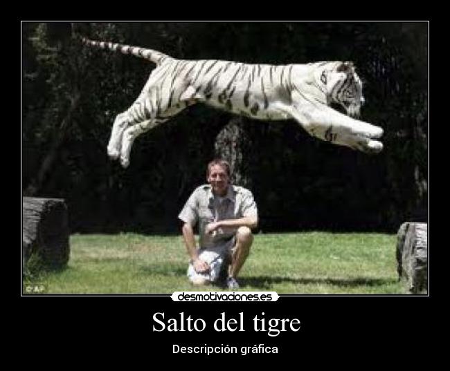 Salto del tigre - Descripción gráfica
