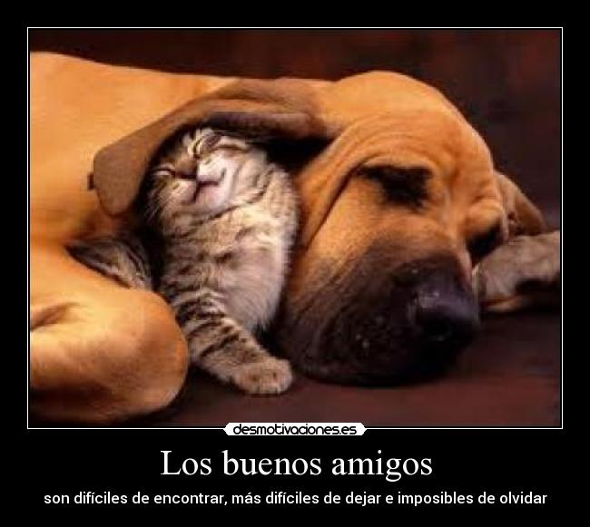 Los buenos amigos - son difíciles de encontrar, más difíciles de dejar e imposibles de olvidar