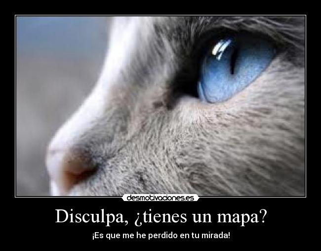 carteles gatosmirada mapa desmotivaciones