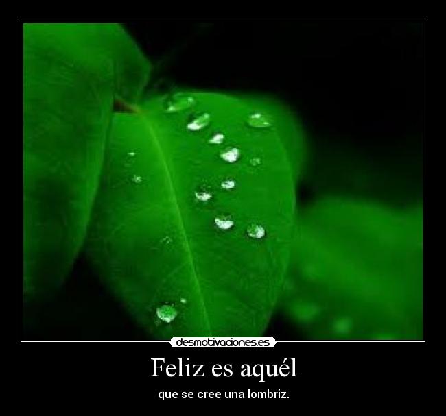 Feliz es aquél - 