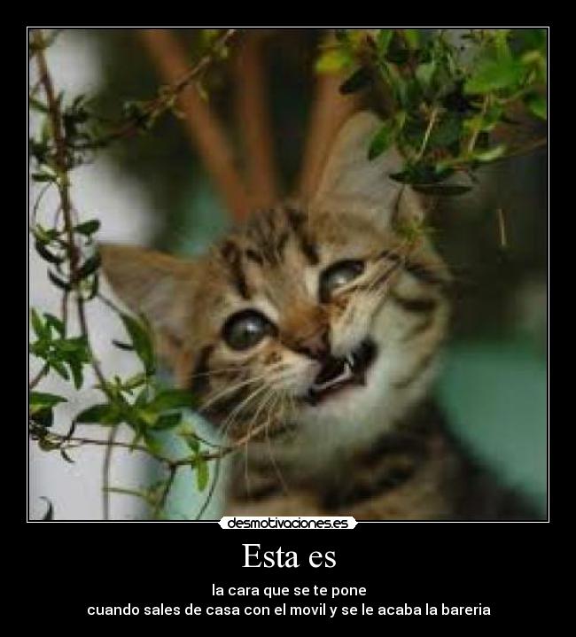Esta es - la cara que se te pone
cuando sales de casa con el movil y se le acaba la bareria