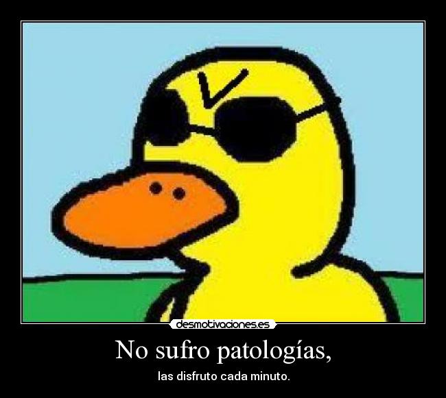 carteles miguel100one clanantifas kaf clanhoygan 0o0o0o0o0o0o0o0o0o0o0 challengeacceptedd pone burro desmotivaciones