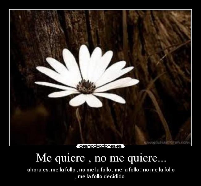 Me quiere , no me quiere... - ahora es: me la follo , no me la follo , me la follo , no me la follo , me la follo decidido.