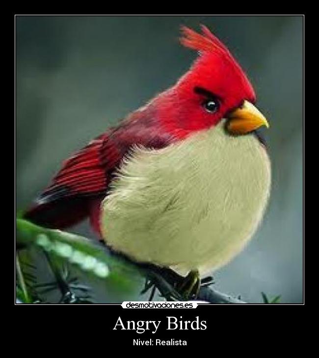 Angry Birds - Nivel: Realista