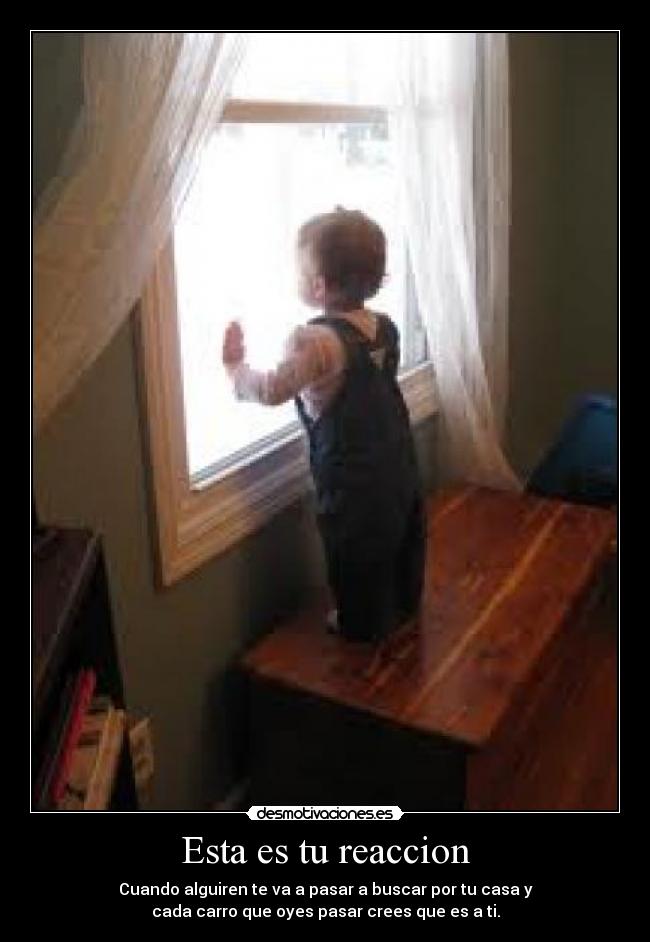 Esta es tu reaccion -