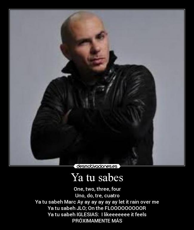 carteles pitbull desmotivaciones