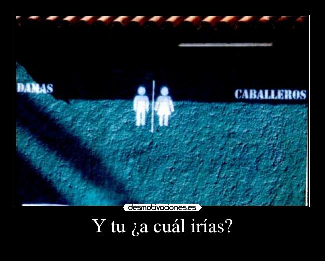 Y tu ¿a cuál irías? - 