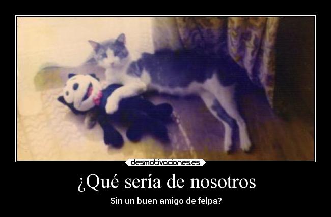 ¿Qué sería de nosotros -