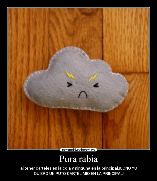 Pura rabia -