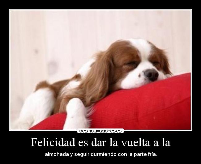 Felicidad es dar la vuelta a la - almohada y seguir durmiendo con la parte fría.