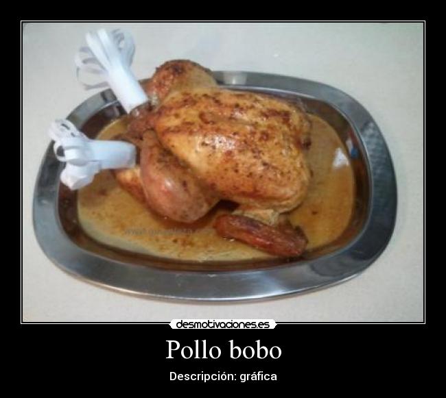 Pollo bobo - Descripción: gráfica