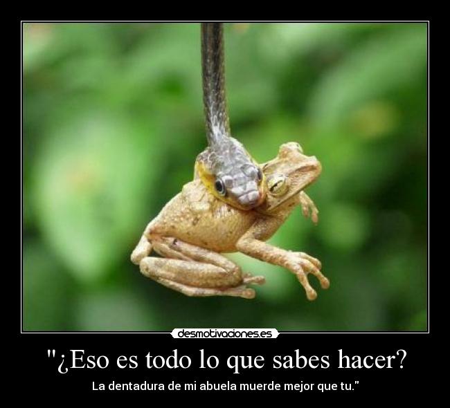 ¿Eso es todo lo que sabes hacer? -