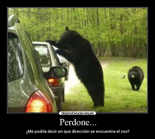 Perdone... - ¿Me podría decir en que dirección se encuentra el zoo?