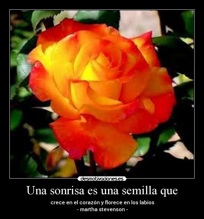 Una sonrisa es una semilla que -