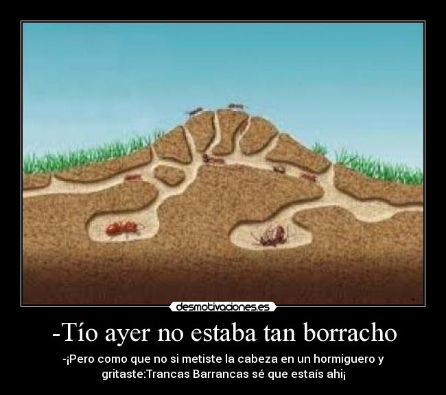 -Tío ayer no estaba tan borracho - 