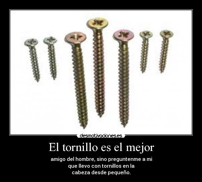 El tornillo es el mejor - 