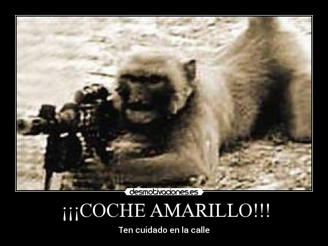 ¡¡¡COCHE AMARILLO!!! -