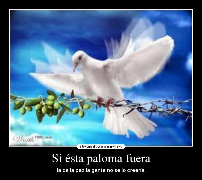 Si ésta paloma fuera - la de la paz la gente no se lo creería.